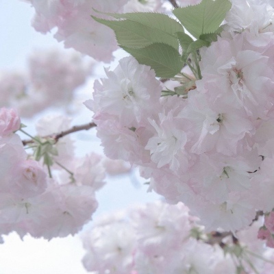 Furry插画光影处理技巧福瑞交流群